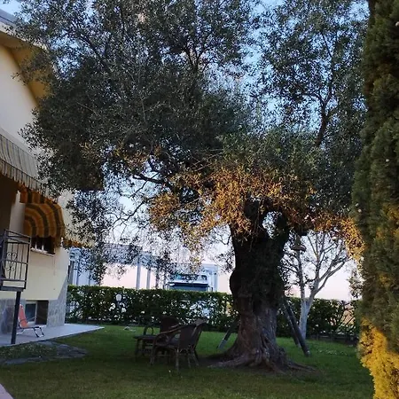 Magnolia House בית אירוח