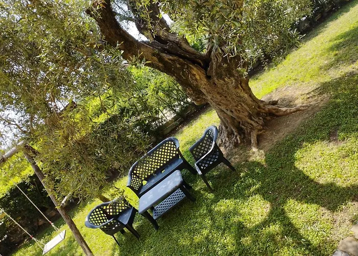 Homestay Magnolia House Scanzano Jonico