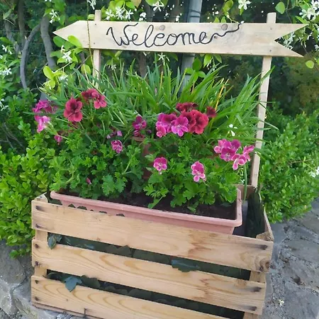 Accommodatie bij particulieren Magnolia House Scanzano Jonico